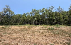 2286 Bluff Rd, Sidney, IA 51652