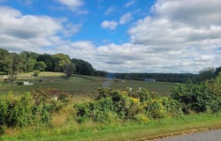 OAKLAND RD, REVA, VA 22735
