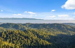 22443 Tim Tam CT, Los Gatos, CA 95033