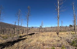 1069 Reed Ln, Fort Garland, CO 81133