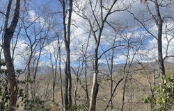 Copperhead Road lot: 5, Sylva, NC 28779