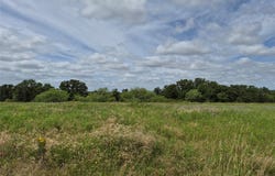 FM 175, Henrietta, TX 76365
