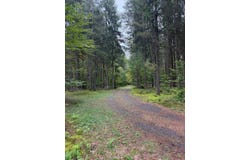 Millwood Hill Rd, Ohio, NY 13324