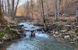Punkin Flat Road, Marshall, AR 72650