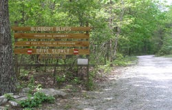 100 Valley View Drive, Altamont, TN 37301