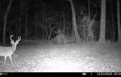 6 Cut Off Road, Carthage, MS 39051