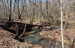 380 Madison 6518, Huntsville, AR 72740