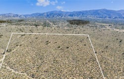 Evergreen, Pinon Hills, CA 92372