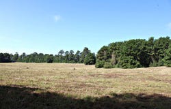 6385 County Road 425, Jasper, TX 75951