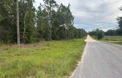NE 150TH Avenue, WILLISTON, FL 32696