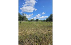 19330 Gudith Road, Trenton, MI 48183-1571