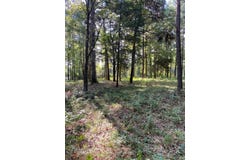 Naconiche Bend, Garrison, TX 75946