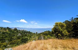 Paradise Glen, Tiburon, CA 94920