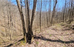 Bufflick Road, Clendenin, WV 25045