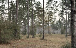 Greenfields Road, Moss Point, MS 39562