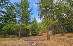 1631Q BONANZA HILL RD N, EVANS, WA 99126