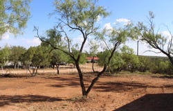 317 Chestnut Lane, Robert Lee, TX 76945