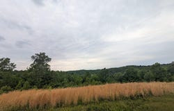 2455 Pierson Fork Road, Tyner, KY 40486
