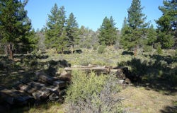 20 acres off Technor Robison Rd., Macdoel, CA 96058