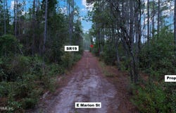 E MARION Street, Palatka, FL 32177