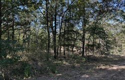 203, Wheatland, MO 65779