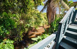 3590 MOLOAA RD, Kapaa, HI 96746