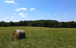 State Highway Kk, Fordland, MO 65652