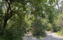 2544 Hinds Creek Rd, Heiskell, TN 37754