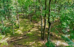 Yana Lane, Penn Forest Twp, PA 18210