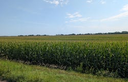 15670 610th Ave, Chokio, MN 56221