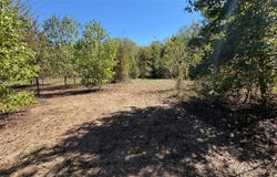 920 County Road 1226, Quitman, TX 75783