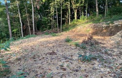 311 W Chestnut St, LaFollette, TN 37766