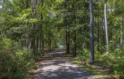 115 Old Oak Road, Freeport, FL 32439