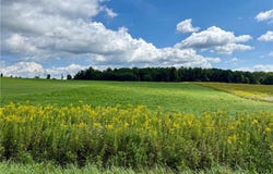 Tucker Road E, Campbell, NY 14821