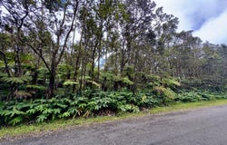 10TH ST, Volcano, HI 96785
