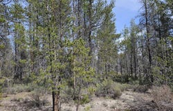 Scott View Drive, Chiloquin, OR 97624