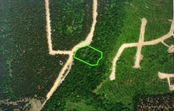268 Green Olive Trail, Broken Bow, OK 74728