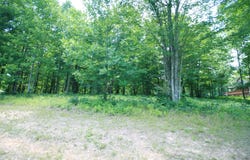 Turkey Trl, Dunlap, TN 37327