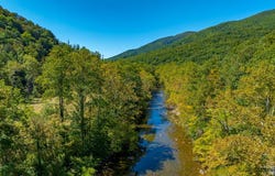 Wolf Creek Road, Narrows, VA 24124