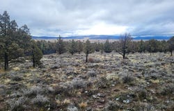 Lazo Ln, Dorris, CA 96023