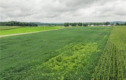 State Route 226, Shreve, OH 44676