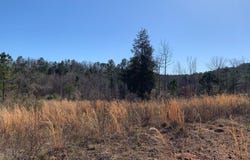 2 MOUNTAINSIDE DRIVE lot: 2, WEST BLOCTON, AL 35184