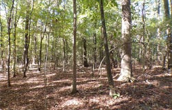 175 Brown Road, Springhill, LA 71075