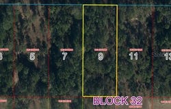 NE 74TH Place, BRONSON, FL 32621
