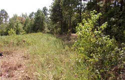 TBD Beneux Bottom RD, Mulberry, AR 72947