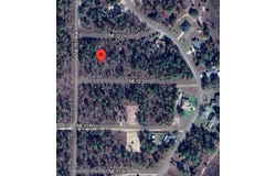 TBD NE 12 Street, WILLISTON, FL 32696