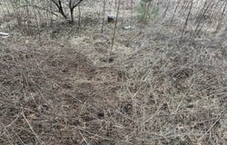 Creekview Road, Kunkletown, PA 18058