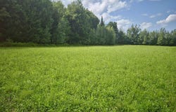Webster Street, Malone, NY 12953