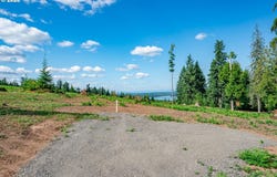 S Silver Lake Rd, CastleRock, WA 98611