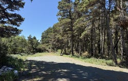 Allegheny Rd, Bandon, OR 97411